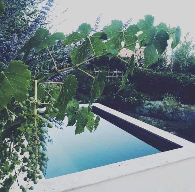 Domaine Fontaine Villa Visan Ngoại thất bức ảnh
